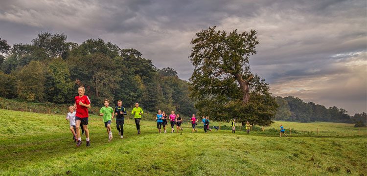 Park run